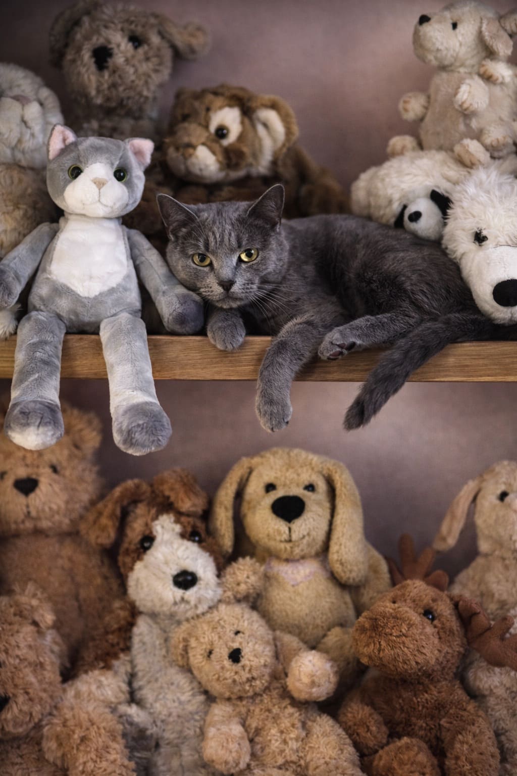 Сальдо в пользу Фроси