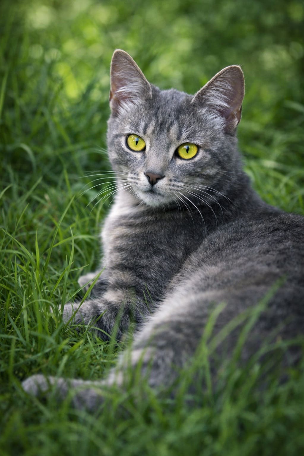 Теория Хаоса