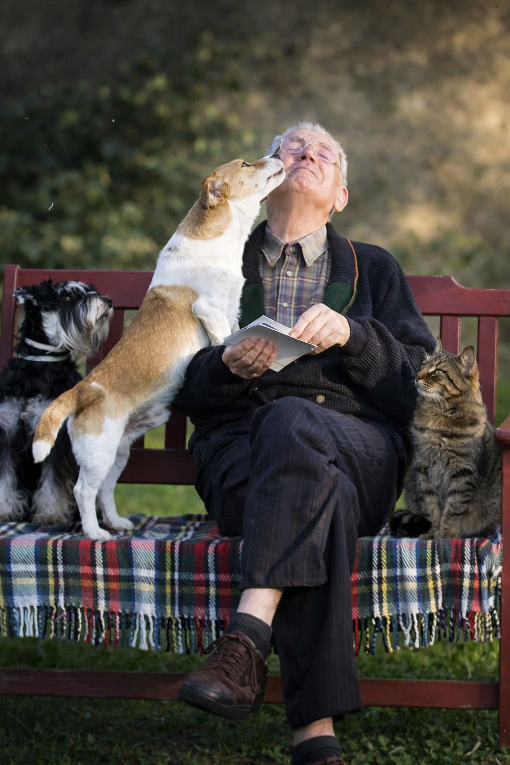 Венский Вальс