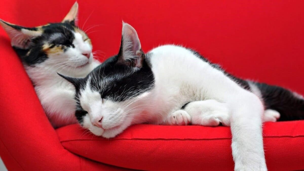 Старое фото