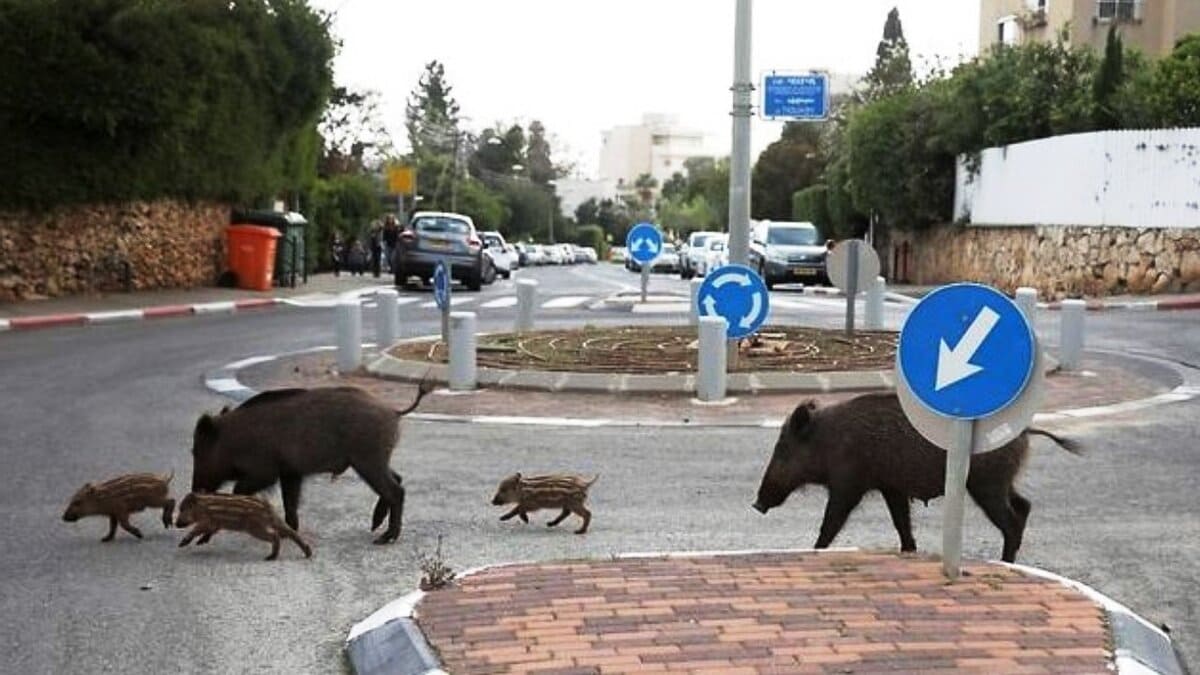 Рабочее место