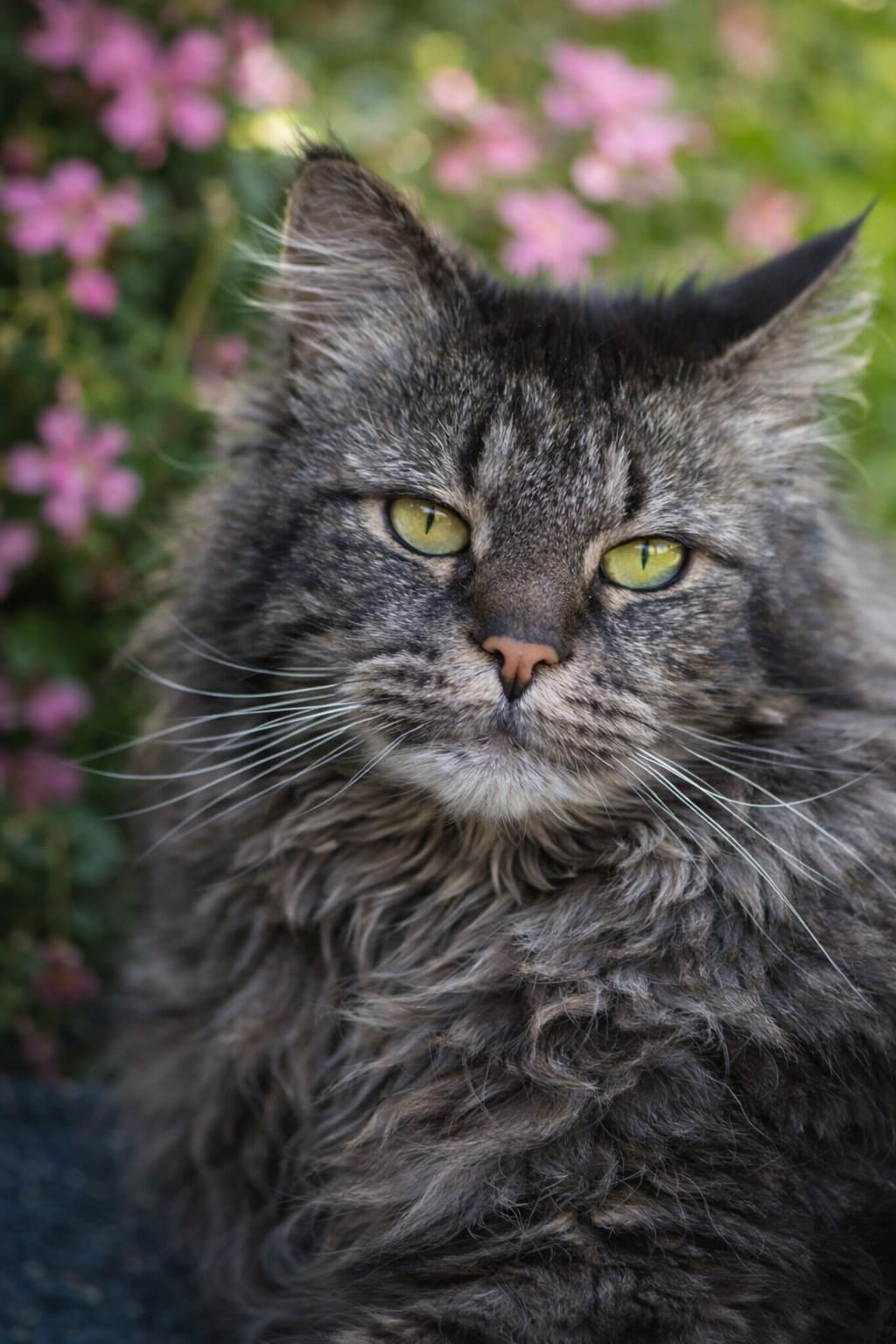 Долгая дорога домой