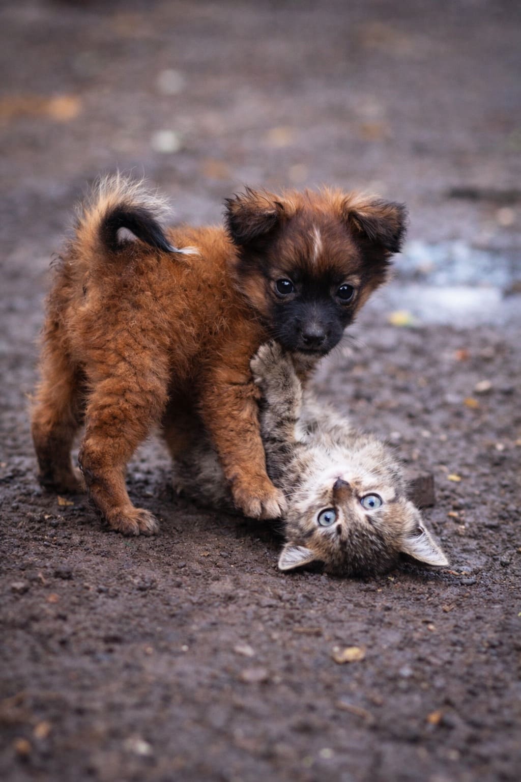 Полёты во сне и наяву