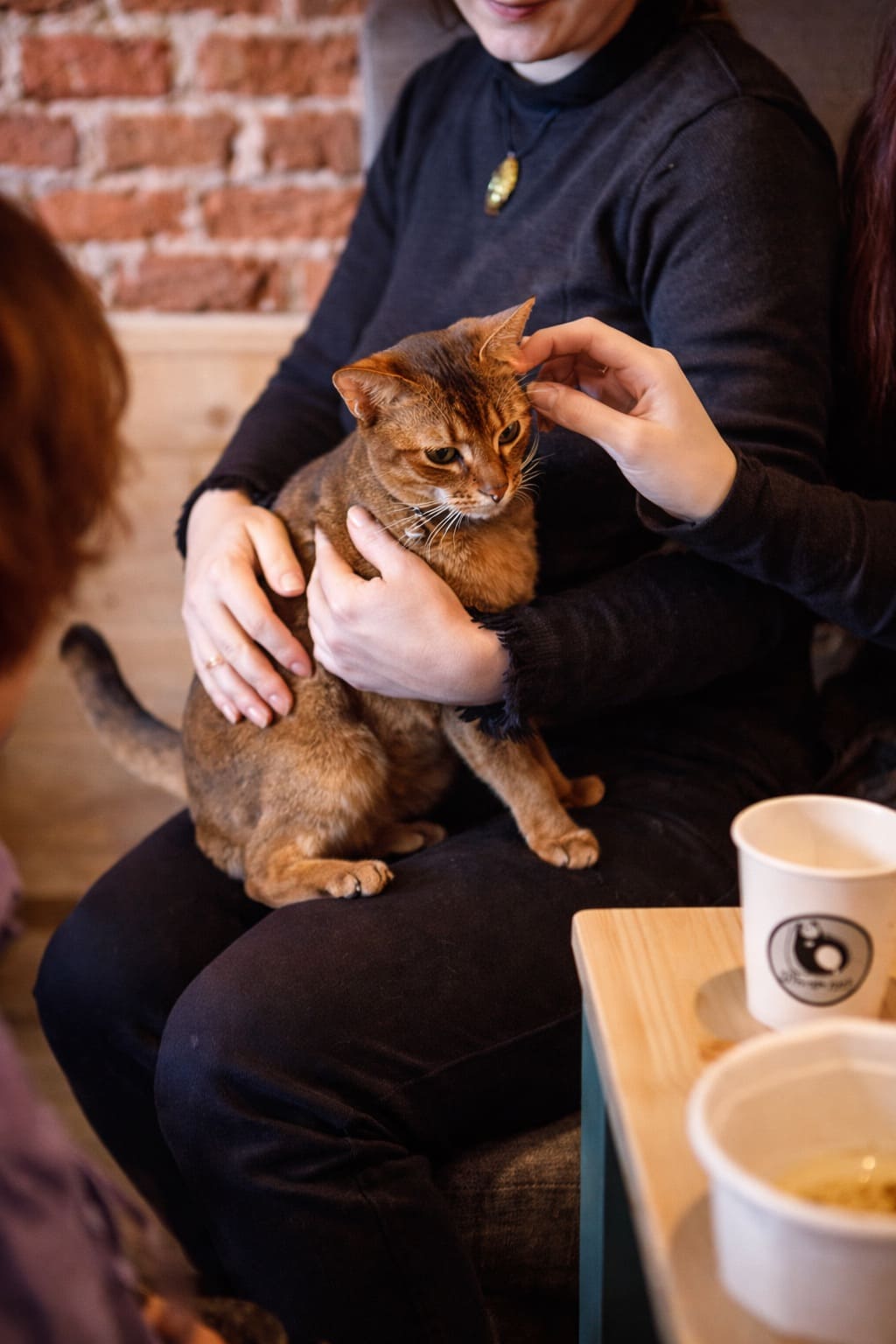 Правильная парикмахерская