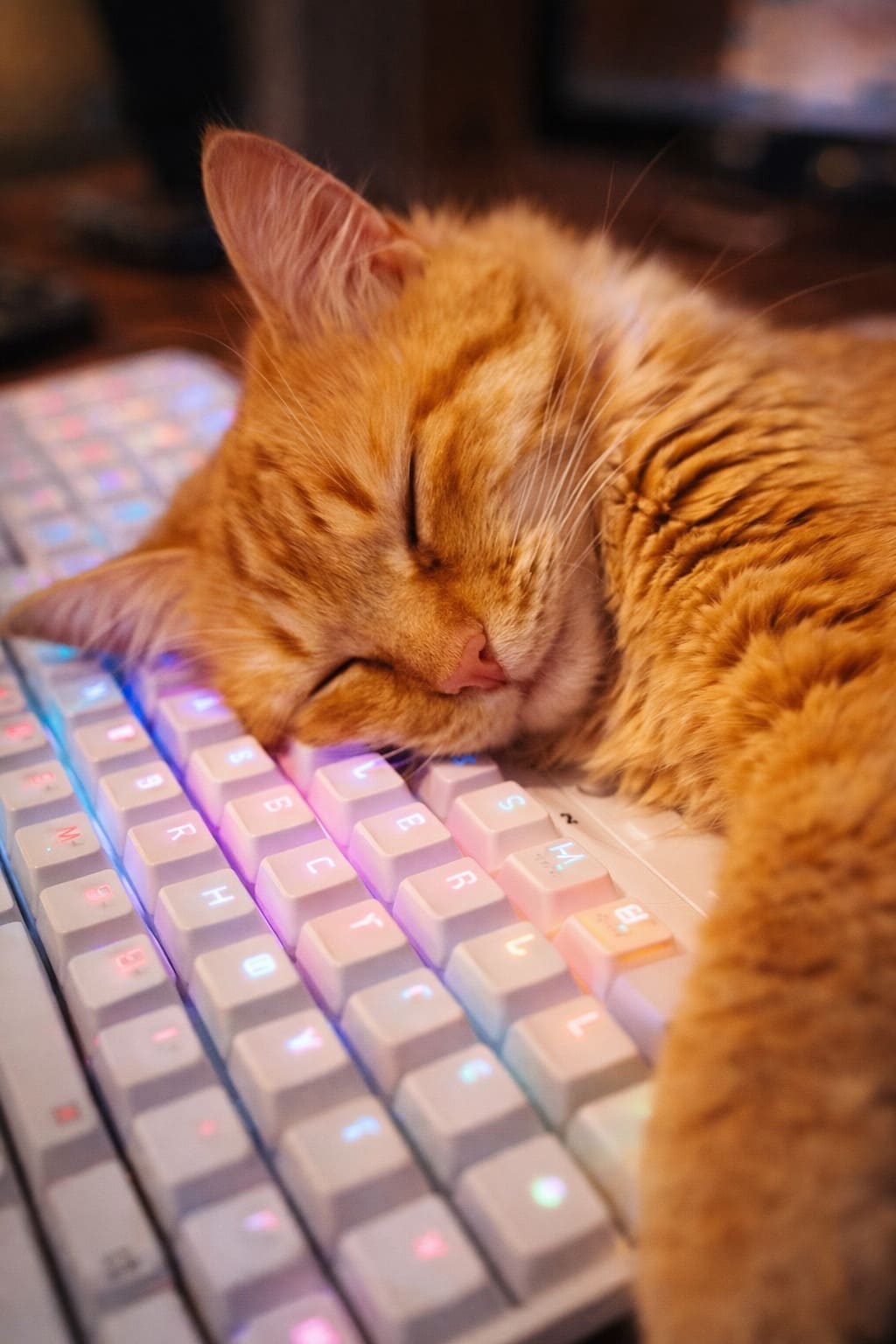 Рабочее место