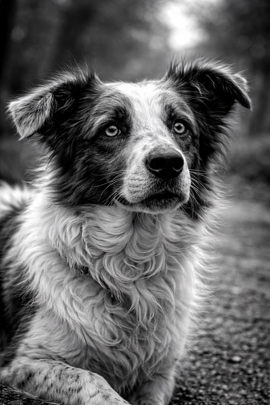 Размышления у парадного подъезда